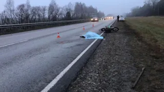 Житель Овстуга помог остановить дальнобойщика, насмерть сбившего пенсионера