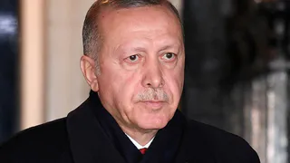 Брянская древесина поедет в Турцию