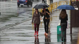 Прогноз синоптиков – какую погоду ждать рязанцам в последний день недели