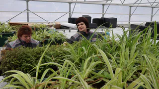 Более 1 000 000 растений планируют высадить во Владимире в весенне-летний сезон