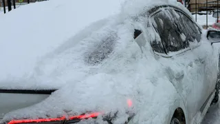 Стало известно, сколько в Рязанской области будет стоить техосмотр автомобиля в 2026