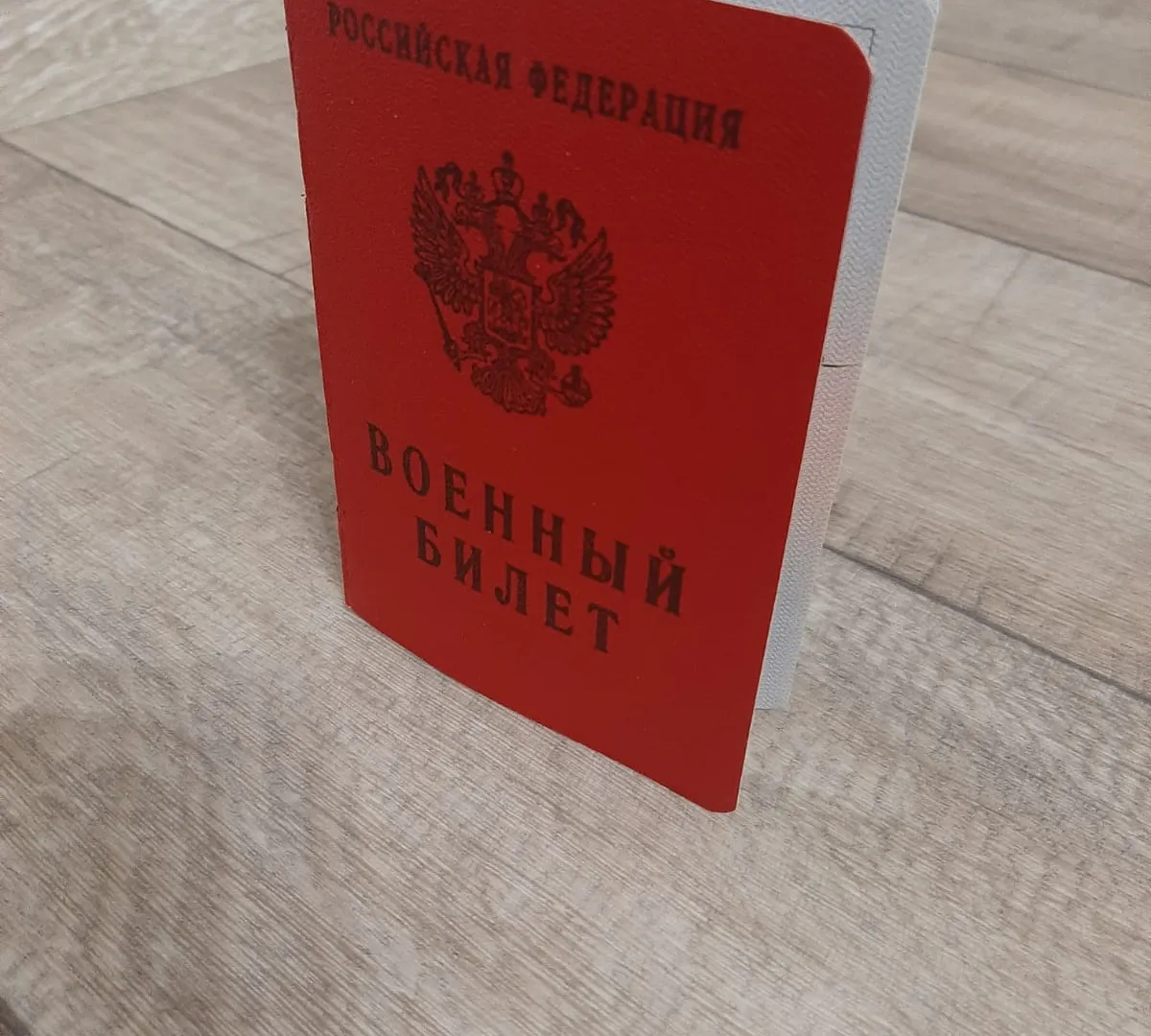 В России сохраняется отсрочка для многодетных отцов