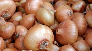 Удобряю лук в июле — луковицы с мужской кулак: грядка ломится от урожая