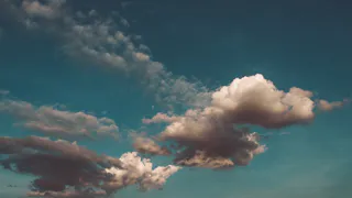 Тепло возвращается в Рязань - в понедельник будет +25