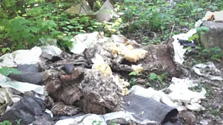 Народный контроль: почему после ремонта коммунальщики оставили после себя мусор?