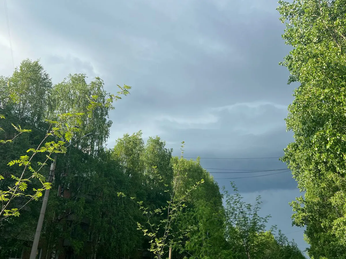 Челябинскую область накрывают грозы и похолодание: Магнитогорск ждет дождливая неделя