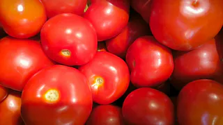 Не сорт, а помидорная аномалия: одна кисть до 3,5 кг и до 30 томатов — для заготовок сезона-2025
