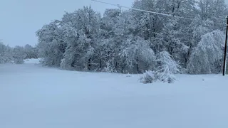 Суд изъял у рязанца 163 гектара земель