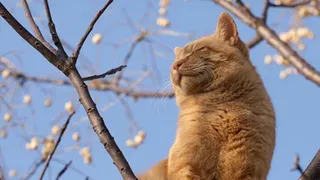 Прогноз погоды в Брянской области на завтра