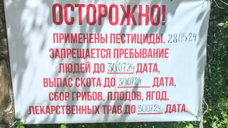 В Спасском районе запрещено посещать леса до 30 июля