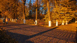 В ближайшие дни нас ждет череда магнитных бурь