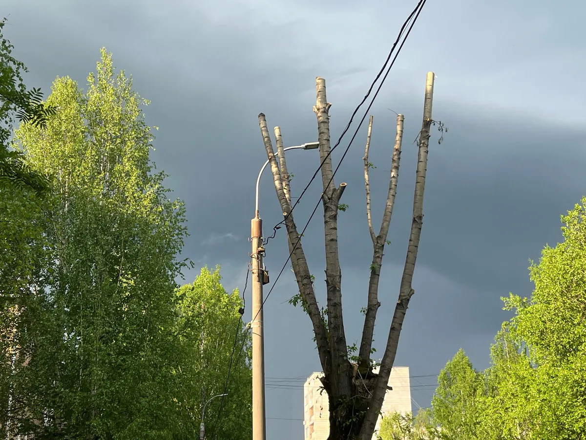 В Челябинской области действует штормовое предупреждение