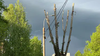 В Челябинской области действует штормовое предупреждение 