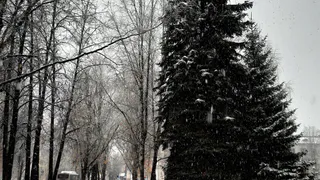 Снег нагрянет слишком рано и неожиданно: синоптики назвали дату когда стартанет зима