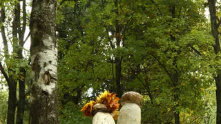 В Рязанской области оживут сказки Пушкина: в Октябрьском поселении сделают парк по мотивам сказок любимого писателя