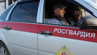 В Сыктывкаре дебошир сломал стол в клубе и попытался скрыться от Росгвардии