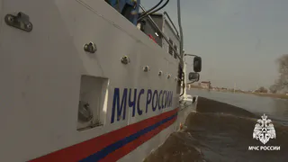 Половодье в Рязанской области 2026: Ока у Рязани спадает, но в Касимове прибывает