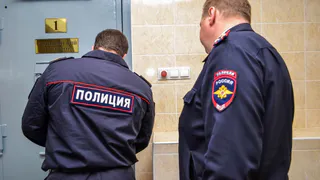 Правоохранители проверяют видео с загнанным олененком в Коми