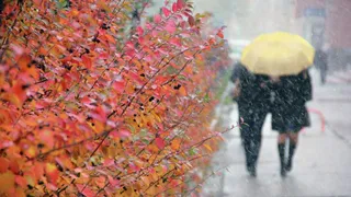 30 октября в Рязанской области ожидается мокрый снег и -5 градусов