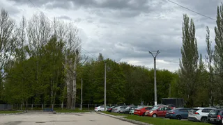 Водители категории «В» смогут получить еще одни права с 22 мая без сдачи экзамена – нужно принести только 1 справку