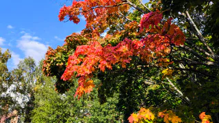 17 сентября в Нижнекамске будет тепло и солнечно