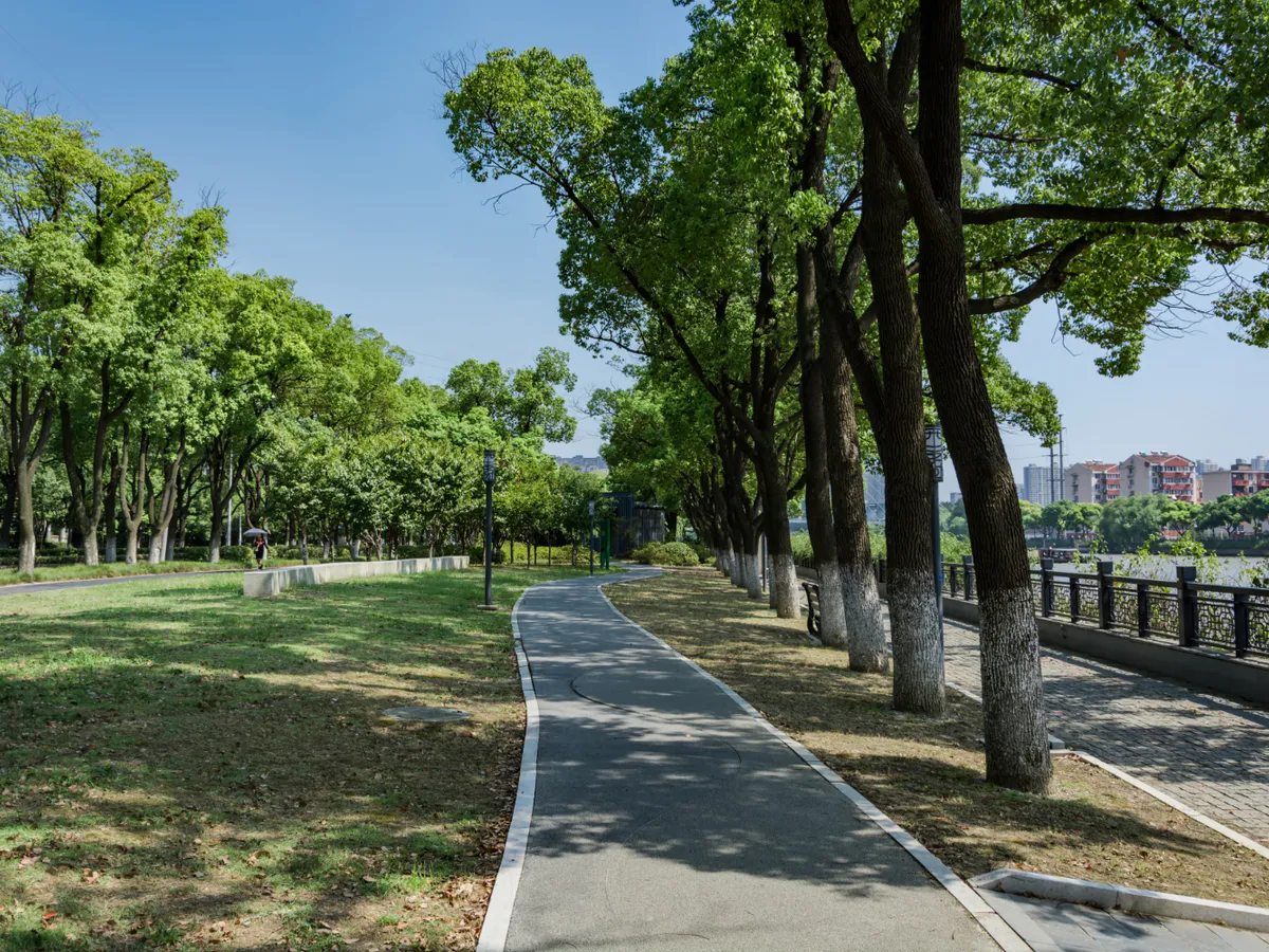 В Пензе планируют снести сквер «Семейный»