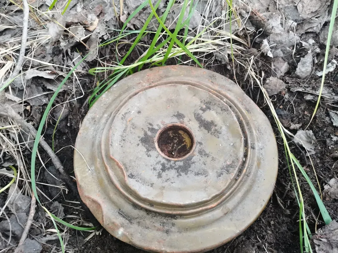 В лесу под Магнитогорском росгвардейцы ликвидировали противотанковую мину, найденную грибником