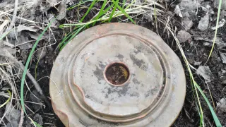 В лесу под Магнитогорском росгвардейцы ликвидировали противотанковую мину, найденную грибником