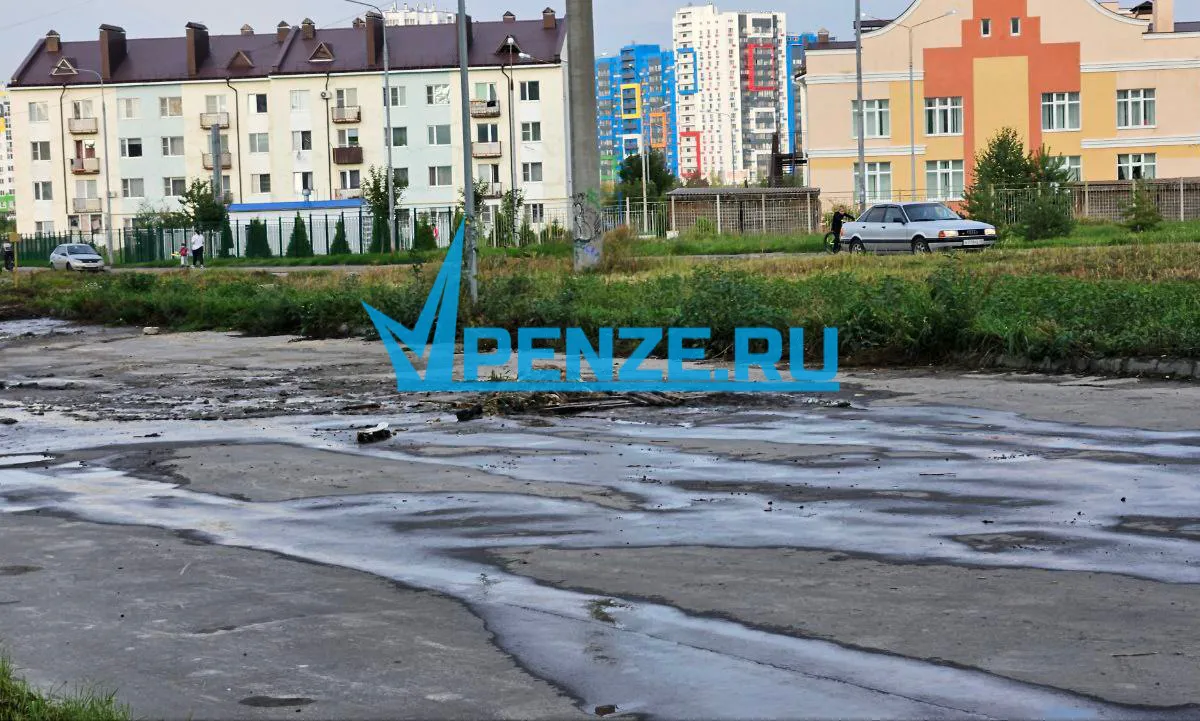 Жители ул. Соборной Пензенского района утопают в фекалиях