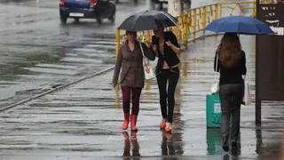 Во вторник в Рязани будет пасмурно и дождливо. Прогноз погоды