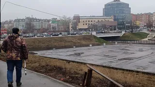 В Рязани ведется отлов агрессивной собаки