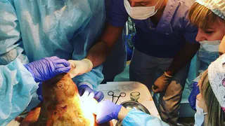 Что выкладывают в Instagram рязанские студенты-медики - фотоподборка не для слабонервных