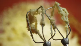 Масло больше не понадобится: вот с чем нужно смешать сгущенку, чтобы получить нежный крем для тортов — хватит минуты