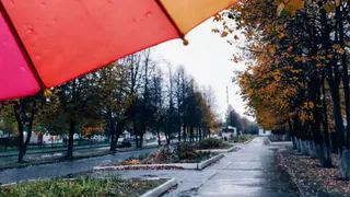 Пасмурно и дождь: прогноз погоды в Нижнекамске на 11 сентября