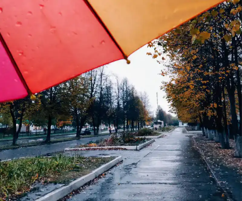 Пасмурно и дождь: прогноз погоды в Нижнекамске на 11 сентября