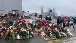 Губернатор Авдеев рассказал о пострадавших при теракте в "Крокус Сити Холле" владимирцах