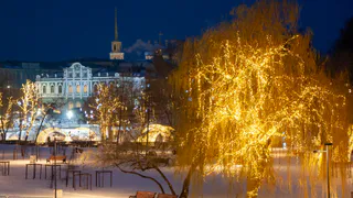 В Рязани включили новогоднюю иллюминацию