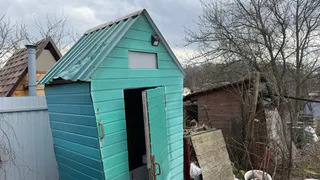 Посадила у выгребной ямы: работает как насос — не растение, а удивительный ассенизатор какой-то