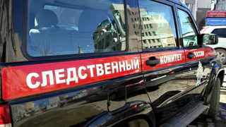 В Сараевском районе обнаружили труп молодой женщины