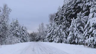 Стала известна судьба пропавших в Рязани подростков