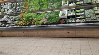 Лук и капуста подорожали во Владимирской области почти вдвое из-за неурожая