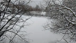 Поиски 2 пропавших в Рязанской области продолжаются с привлечением водолазов