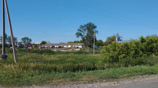 Глава района опровергла слухи о возгораниях полей рядом с селом Городец