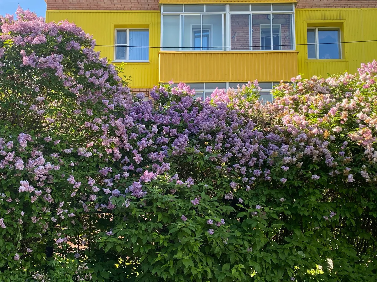 24 июня Магнитогорск встречает приятный день с переменной облачностью