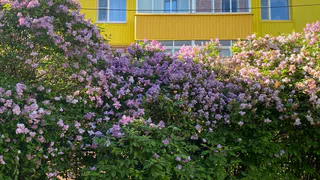 24 июня Магнитогорск встречает приятный день с переменной облачностью