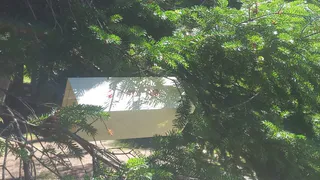 В Коми началась охота на вредителей: Россельхознадзор установил ловушки