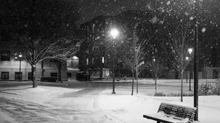 Дворовый дозор: Госжилинспекция проверяет рязанские дворы на качество уборки от снега