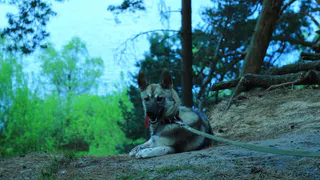 Дай лапку: пушистые четвероногие ищут добрых хозяев