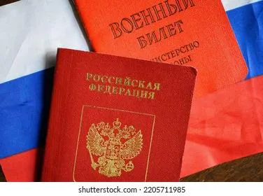 Полная мобилизация: в Совфеде сделали заявление для россиян