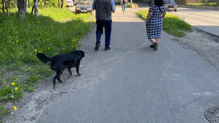 Времени осталось очень мало: пенсионерам старше 60 лет напомнили о сроках хорошей льготы
